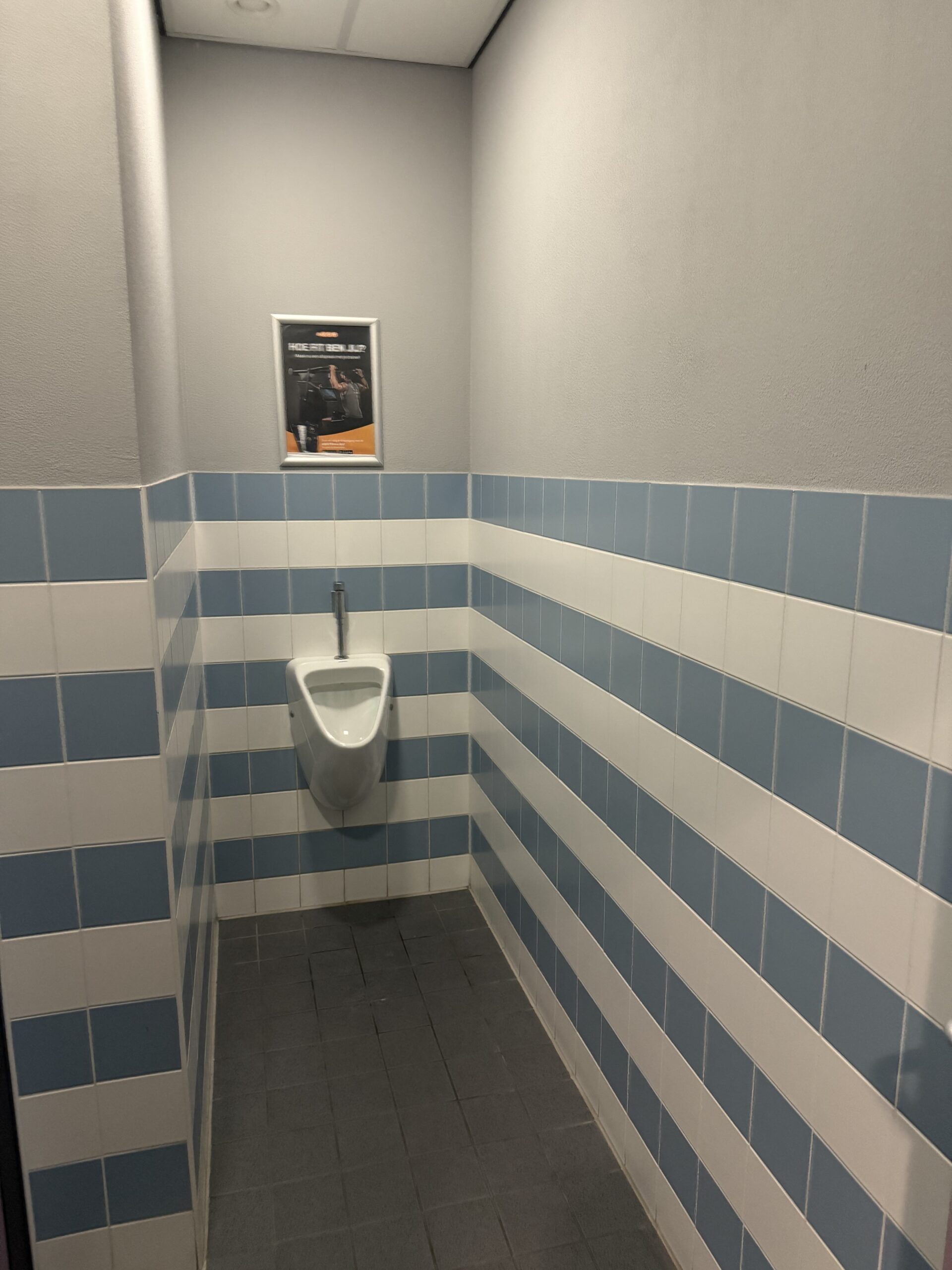 Fase 2 bij Medifit Breda afgerond – Wat een metamorfose!