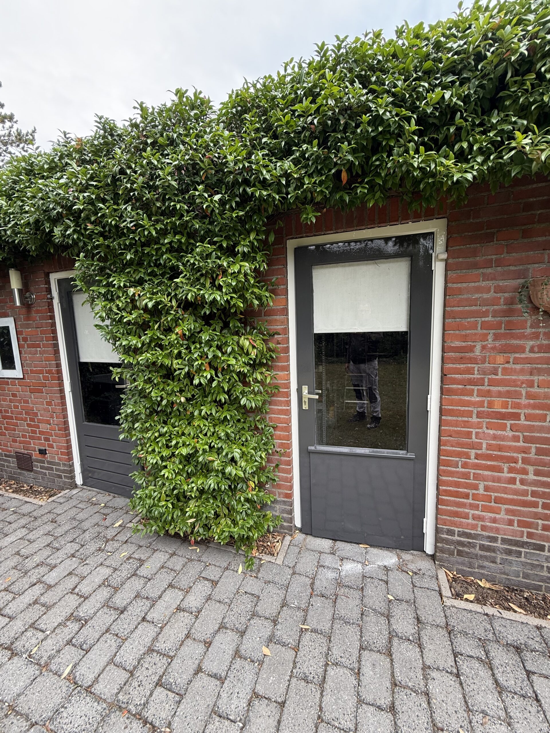 Project in Sint Willebrord succesvol afgerond