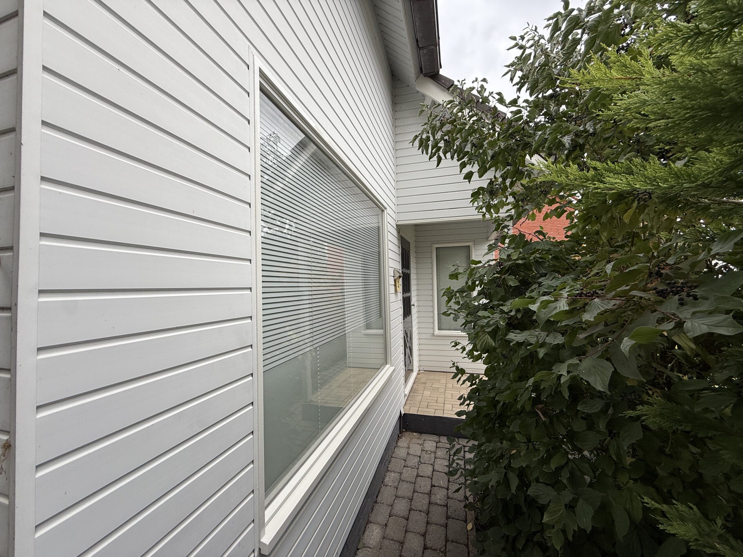 Project in Sint Willebrord succesvol afgerond